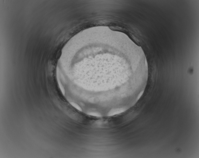 X0000115790366200912241836