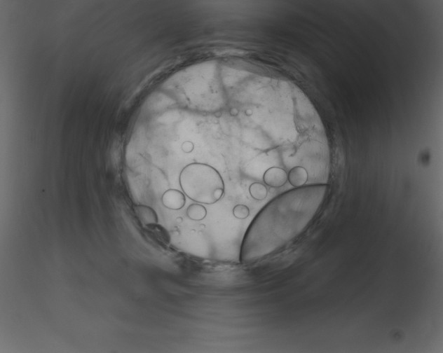 X0000115790367200912241836