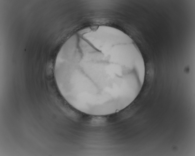 X0000115790369200912241836