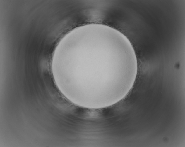 X0000115790370200912241836