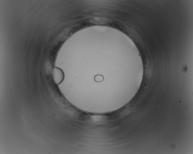 X0000115790371200912241836