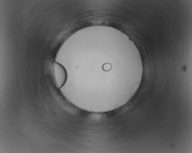 X0000115790375200912241836