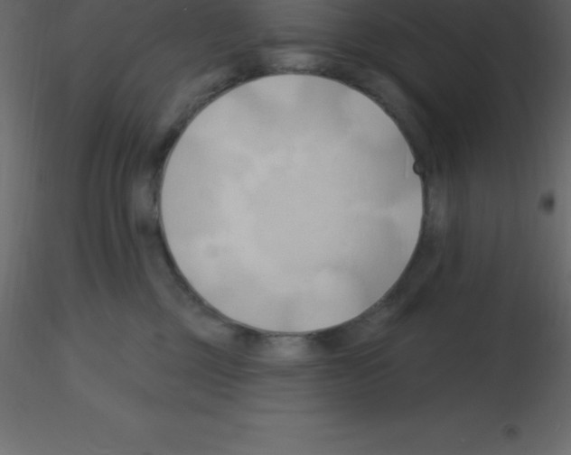 X0000115790377200912241836