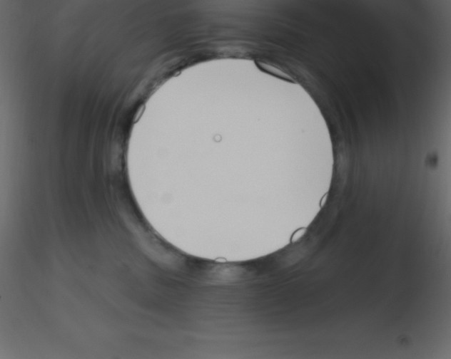 X0000115790379200912241837