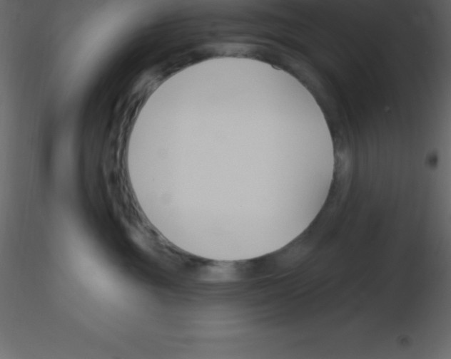 X0000115790381200912241837