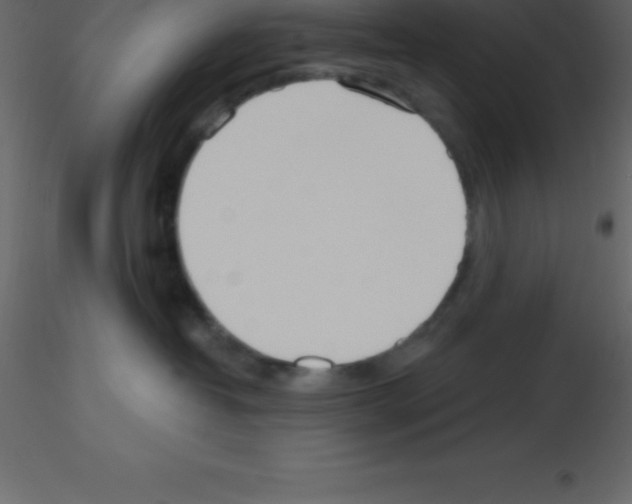 X0000115790382200912241837