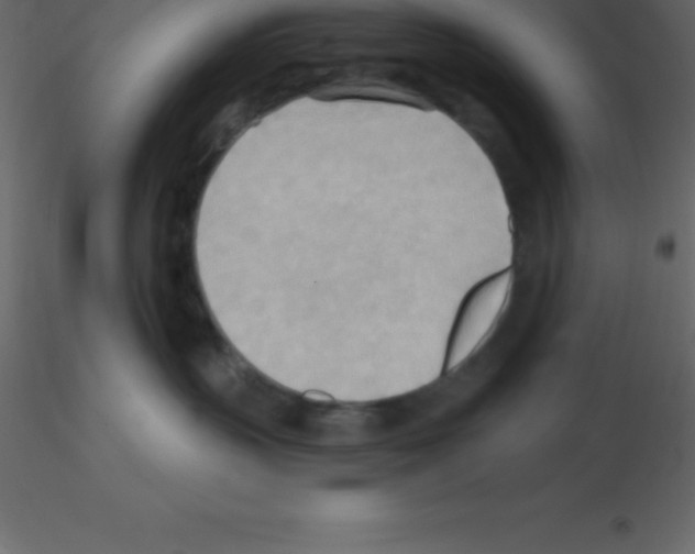 X0000115790383200912241837