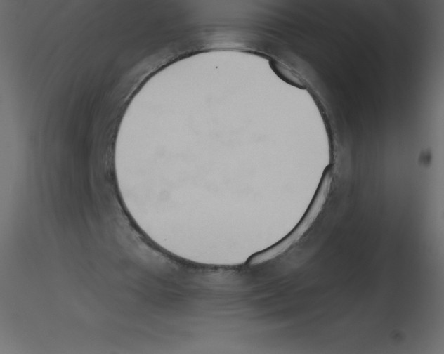 X0000115790385200912241836