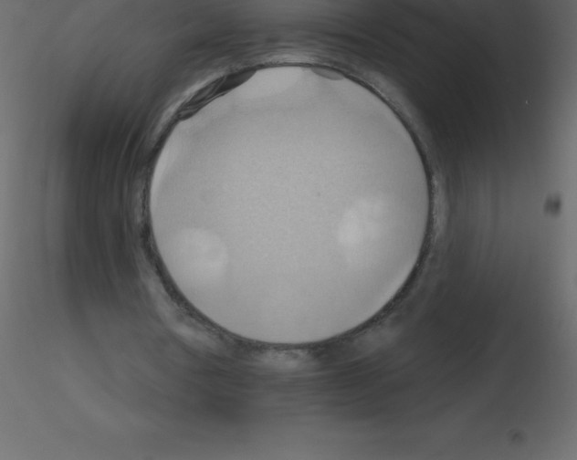 X0000115790386200912241836