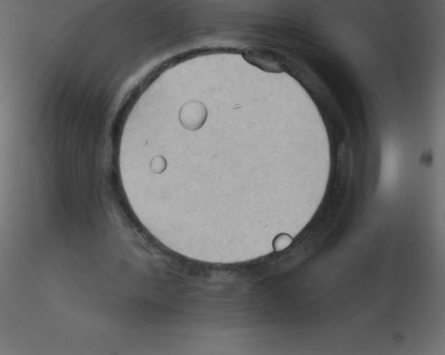 X0000115790388200912241836