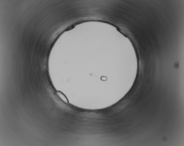 X0000115790389200912241836