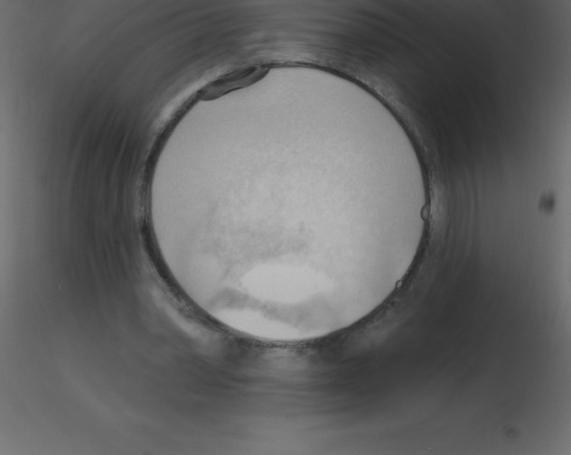 X0000115790390200912241836
