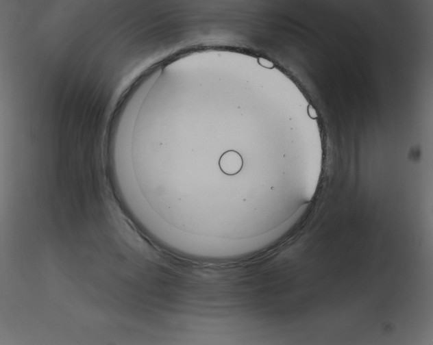 X0000115790391200912241836