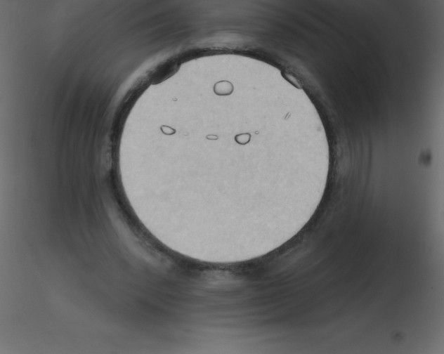 X0000115790392200912241836