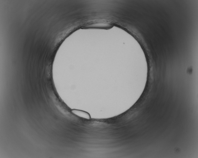 X0000115790393200912241836