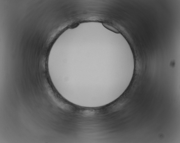 X0000115790394200912241836