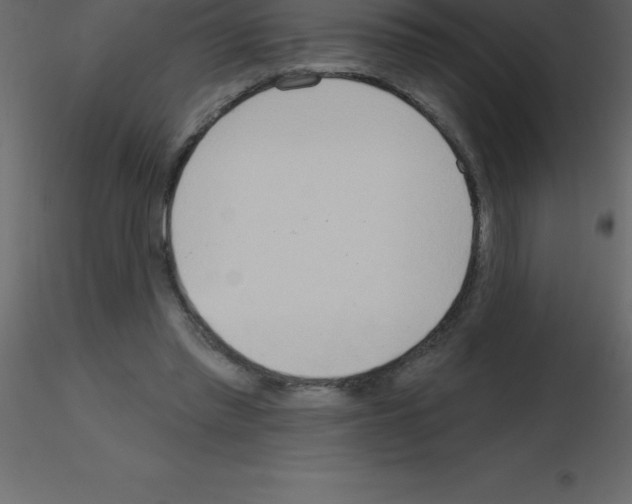 X0000115790397200912241836
