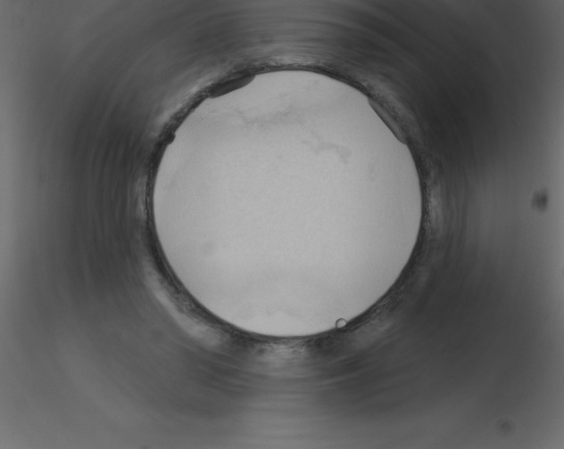 X0000115790398200912241836