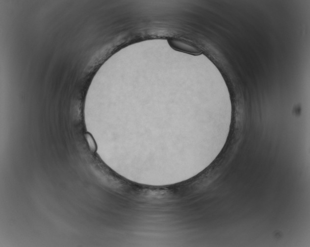 X0000115790401200912241836