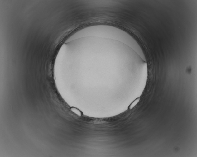 X0000115790403200912241836