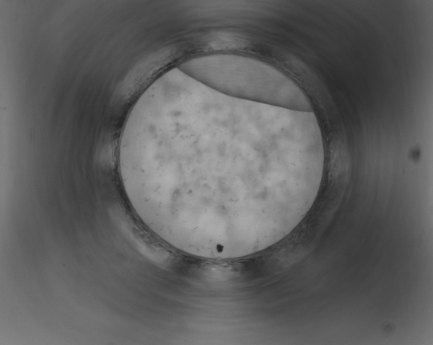 X0000115790405200912241836
