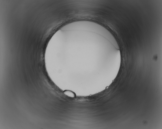 X0000115790407200912241836