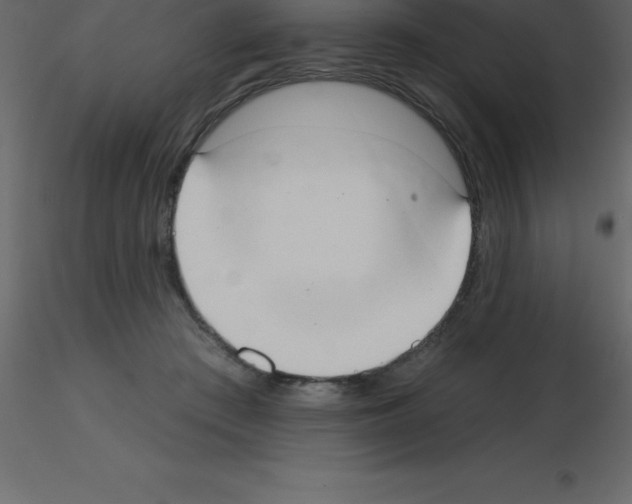 X0000115790409200912241836