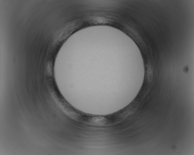 X0000115790410200912241836