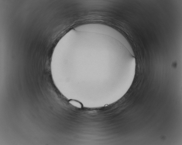 X0000115790411200912241836