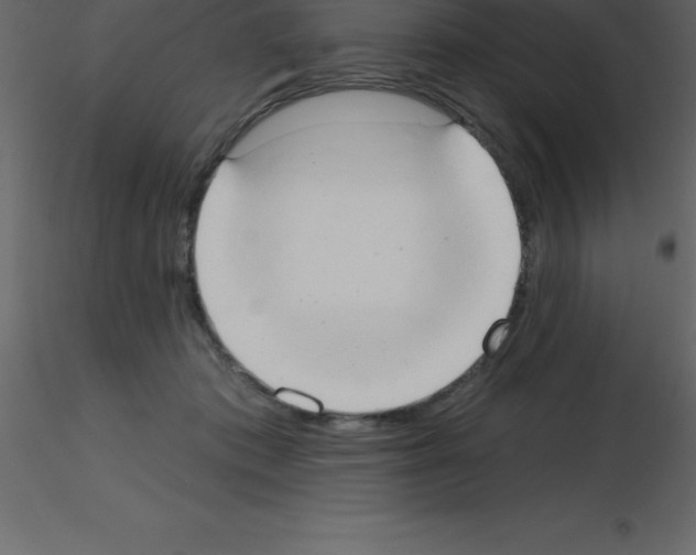 X0000115790413200912241836