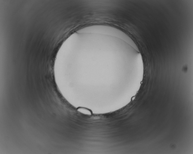 X0000115790415200912241836