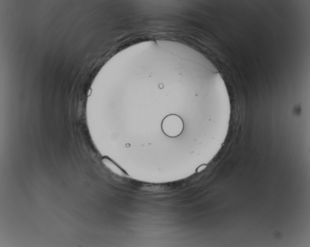 X0000115790417200912241835
