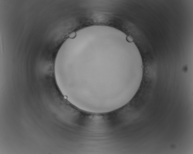 X0000115790419200912241835