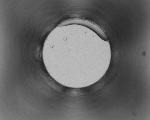 X0000115790420200912241835