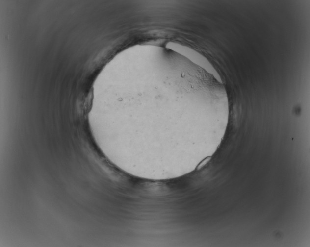 X0000115790424200912241835