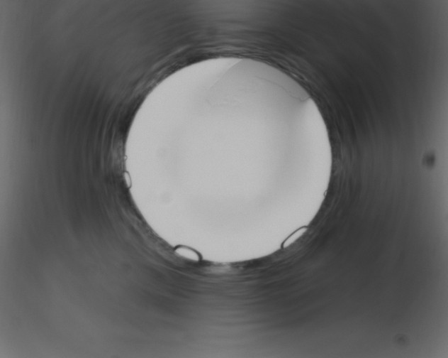 X0000115790425200912241835