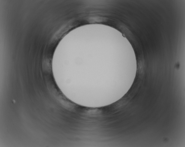 X0000115790426200912241835