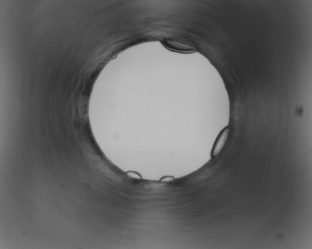 X0000115790428200912241835