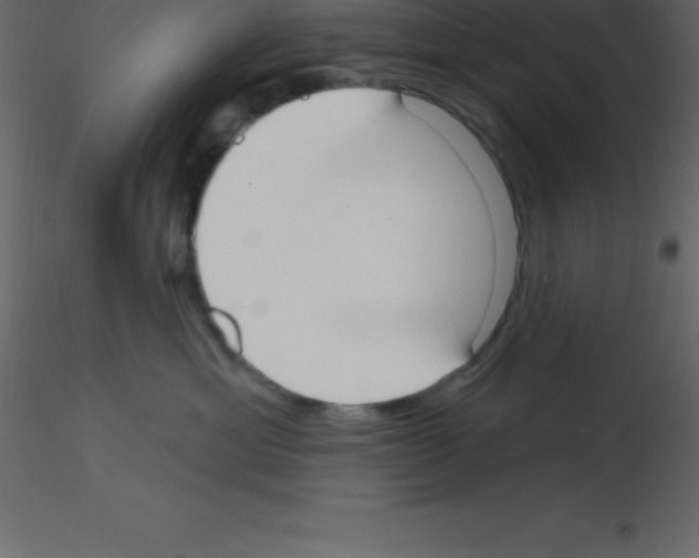 X0000115790429200912241835