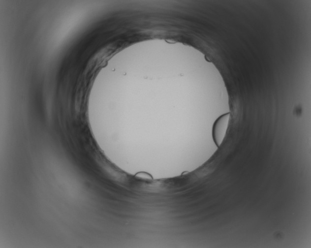 X0000115790430200912241835
