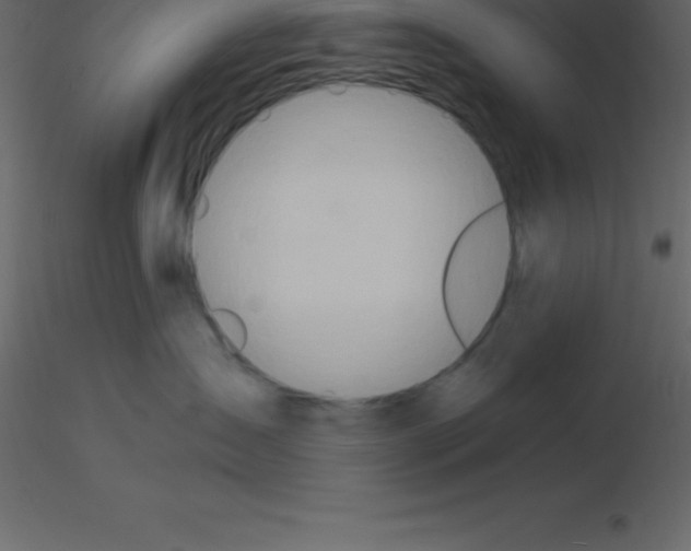 X0000115790431200912241835