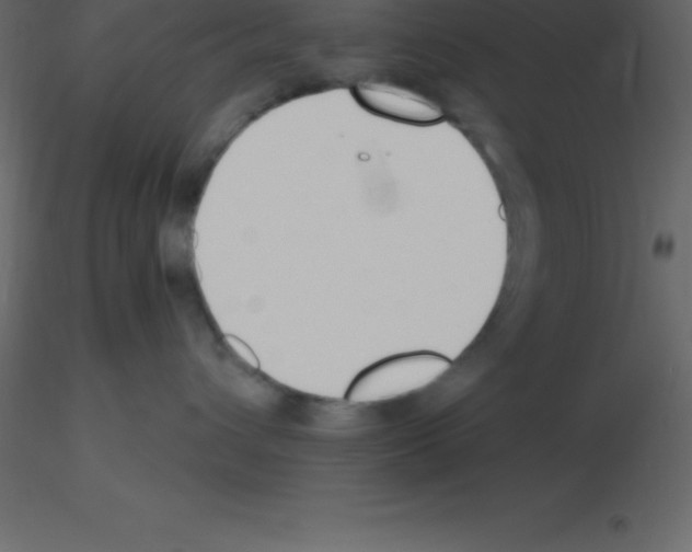X0000115790432200912241835