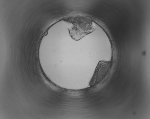 X0000115790433200912241835
