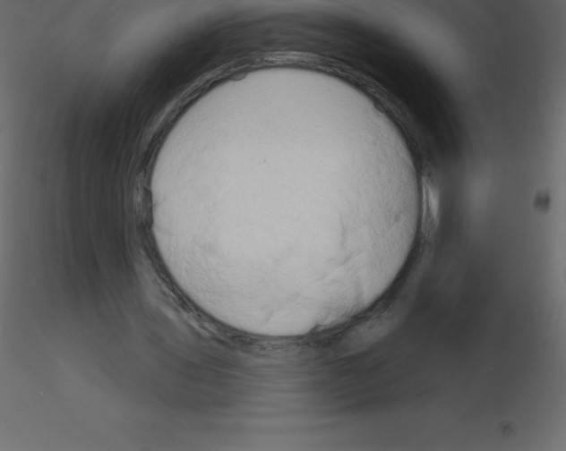 X0000115790435200912241835