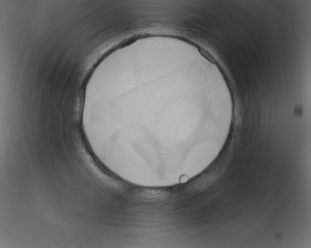 X0000115790437200912241835