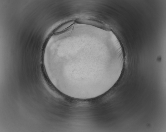 X0000115790438200912241835
