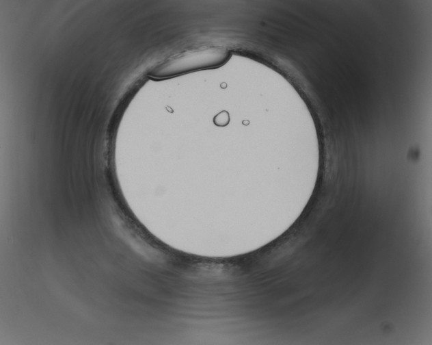 X0000115790439200912241835