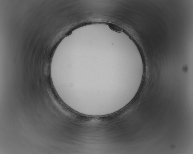 X0000115790441200912241835