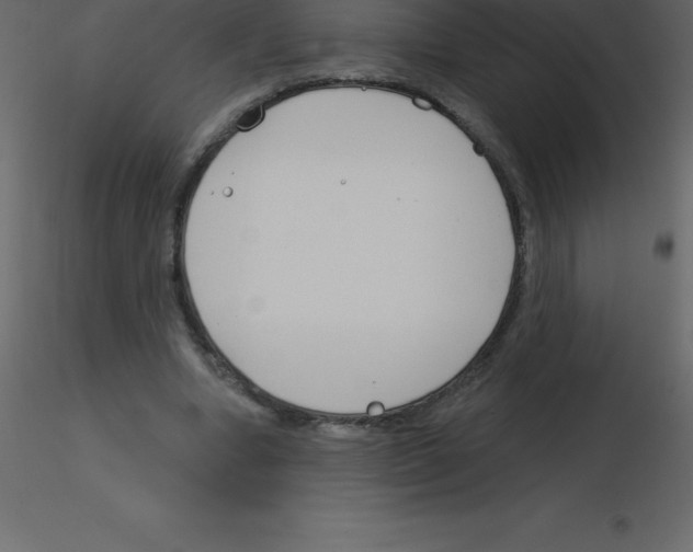 X0000115790442200912241835