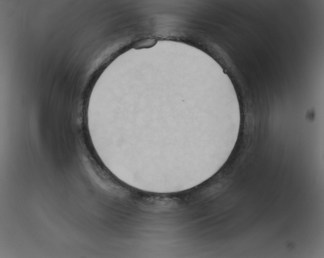 X0000115790443200912241835